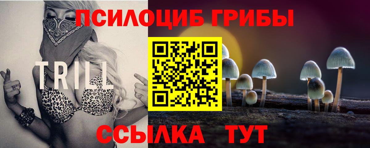 Псилоцибиновые грибы Magic Shrooms Сланцы